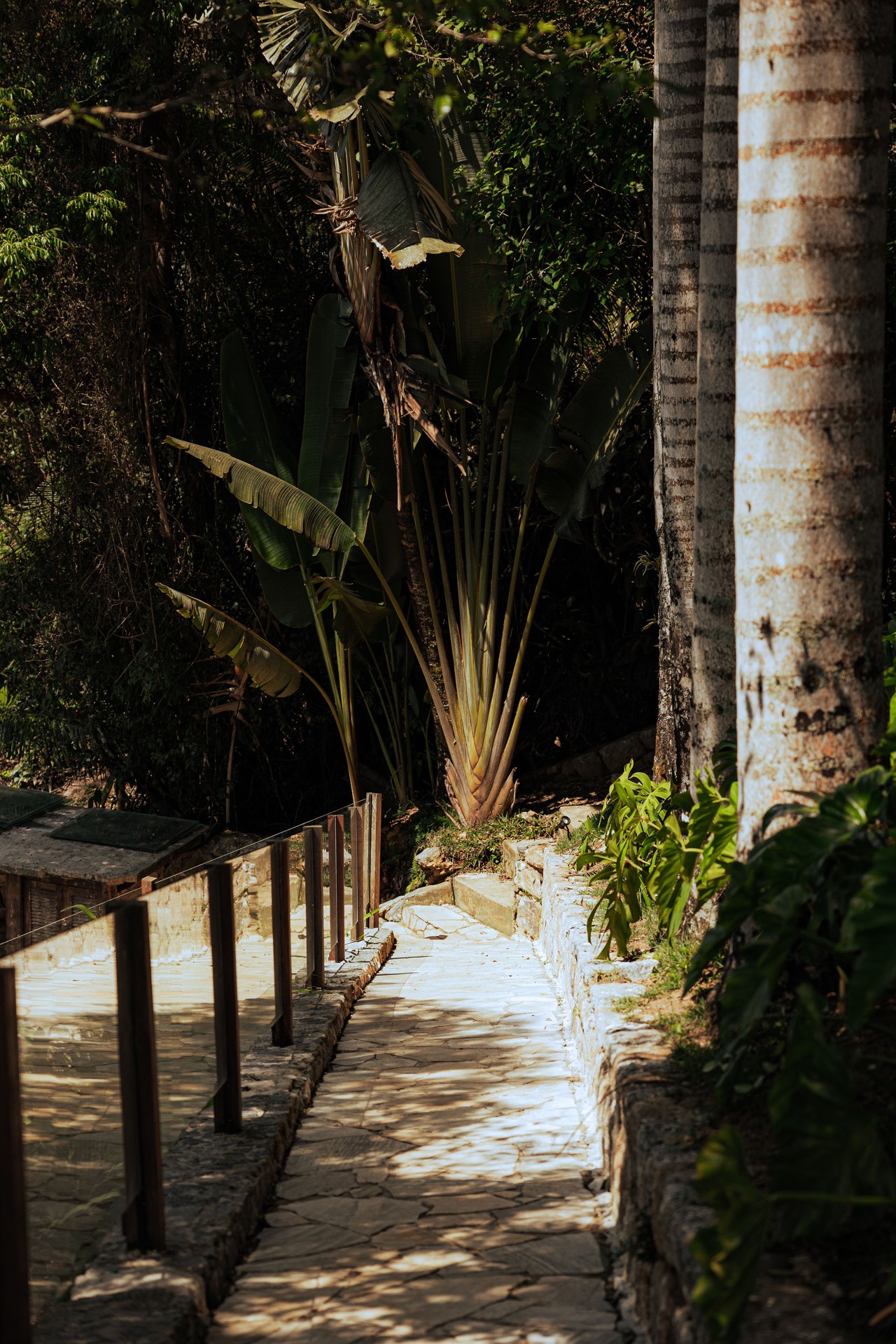 Imagem 13 - Casa de Vidro