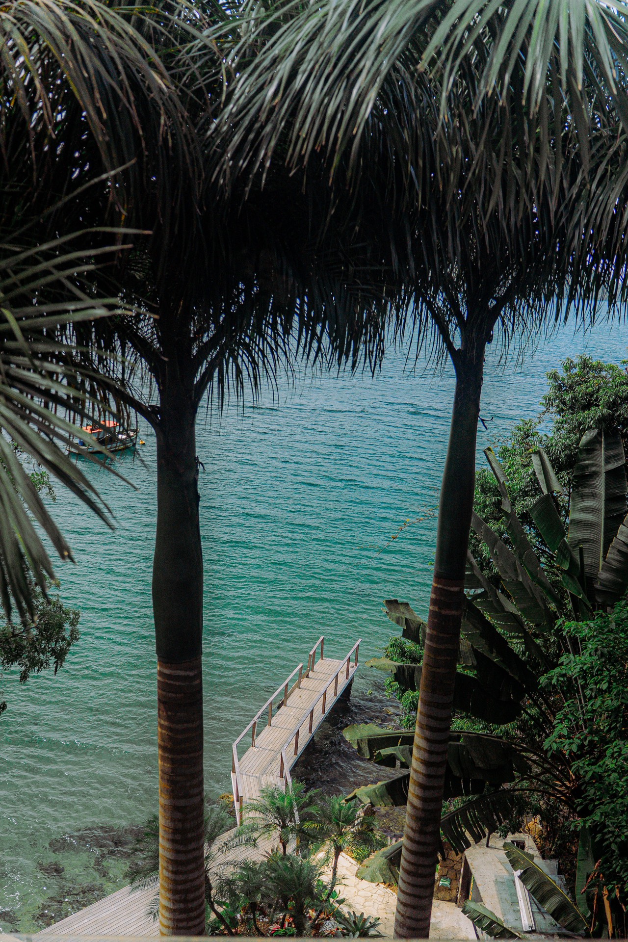 Imagem 25 - Casa de Vidro