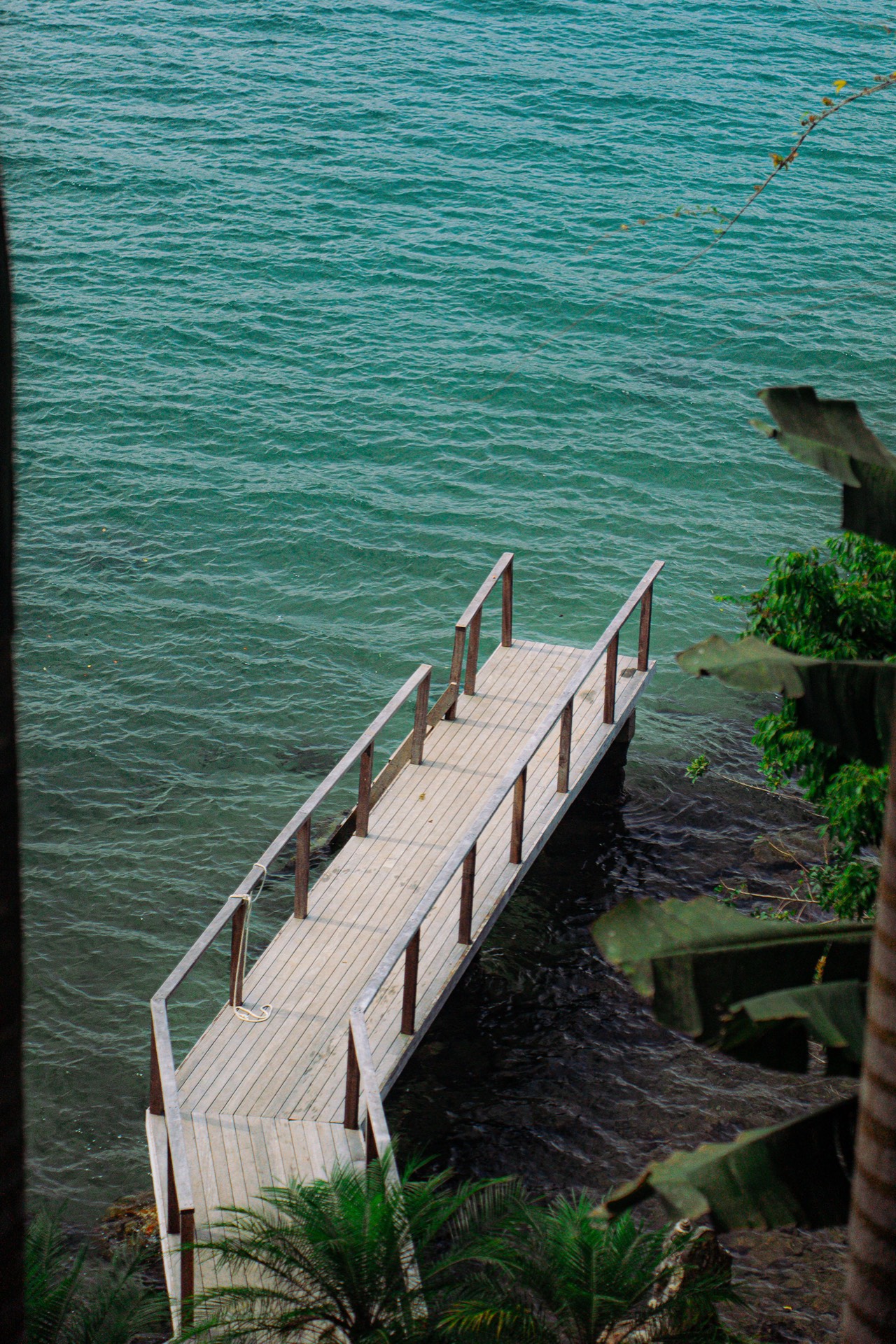 Imagem 26 - Casa de Vidro