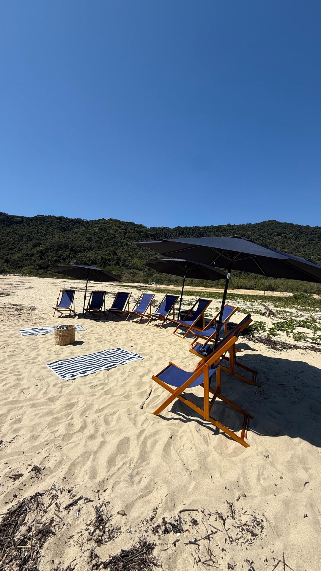 Imagem 75 - Casa de Vidro